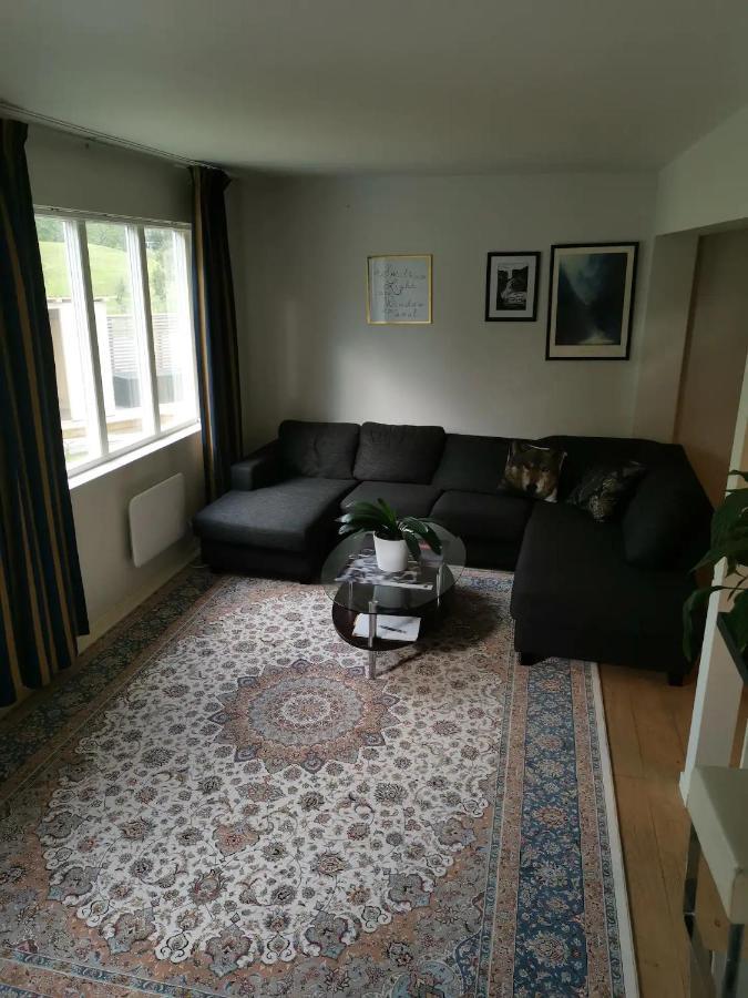 טרומסה Big, Spacious Apartment With Free Parking מראה חיצוני תמונה